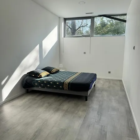 Ferienwohnung Loft Epure Avec Parking Prive. Saint-Symphorien-dʼOzon Exterior foto